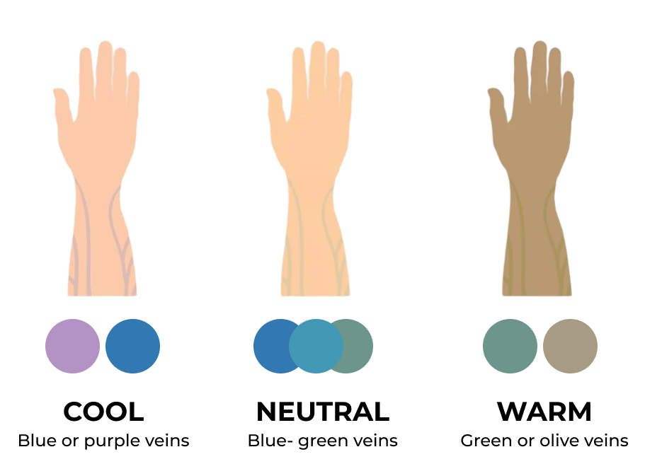 Diagram with cool, warm, and neutral undertone